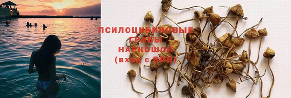 дживик Алексеевка