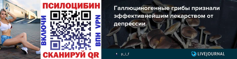 закладка  Сусуман  MEGA tor  Галлюциногенные грибы ЛСД 